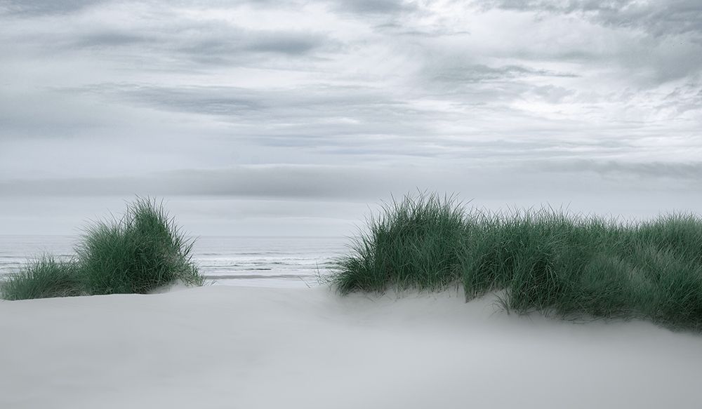 View Through the Dune Grasses art print by Don Schwartz for $57.95 CAD