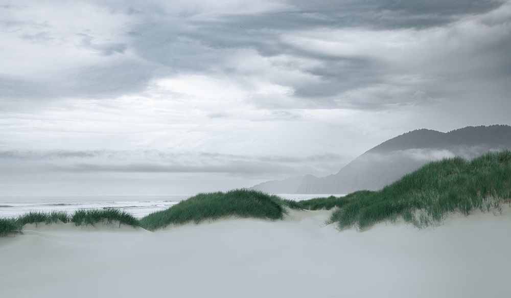 Along the Dunes art print by Don Schwartz for $57.95 CAD