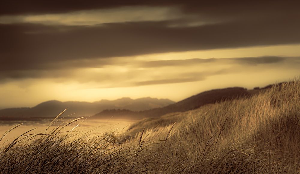 Sun-Lit Dunes art print by Don Schwartz for $57.95 CAD