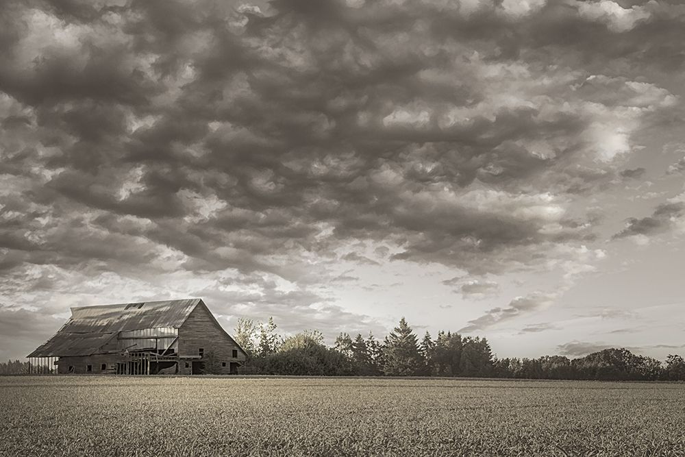 Yamhill Valley Barn art print by Don Schwartz for $57.95 CAD