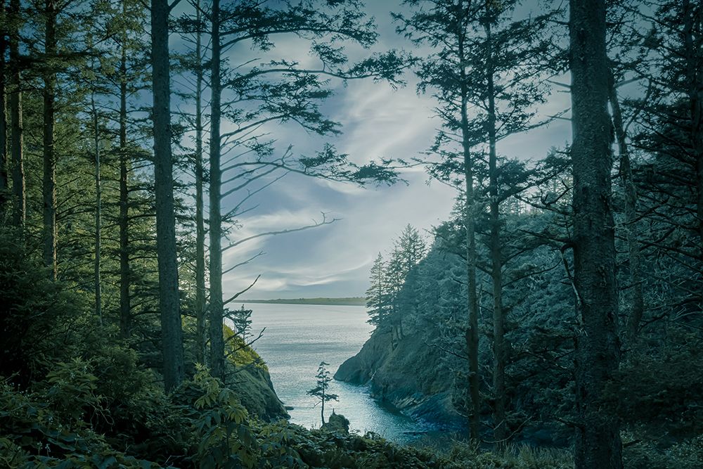 Through the Cove art print by Don Schwartz for $57.95 CAD