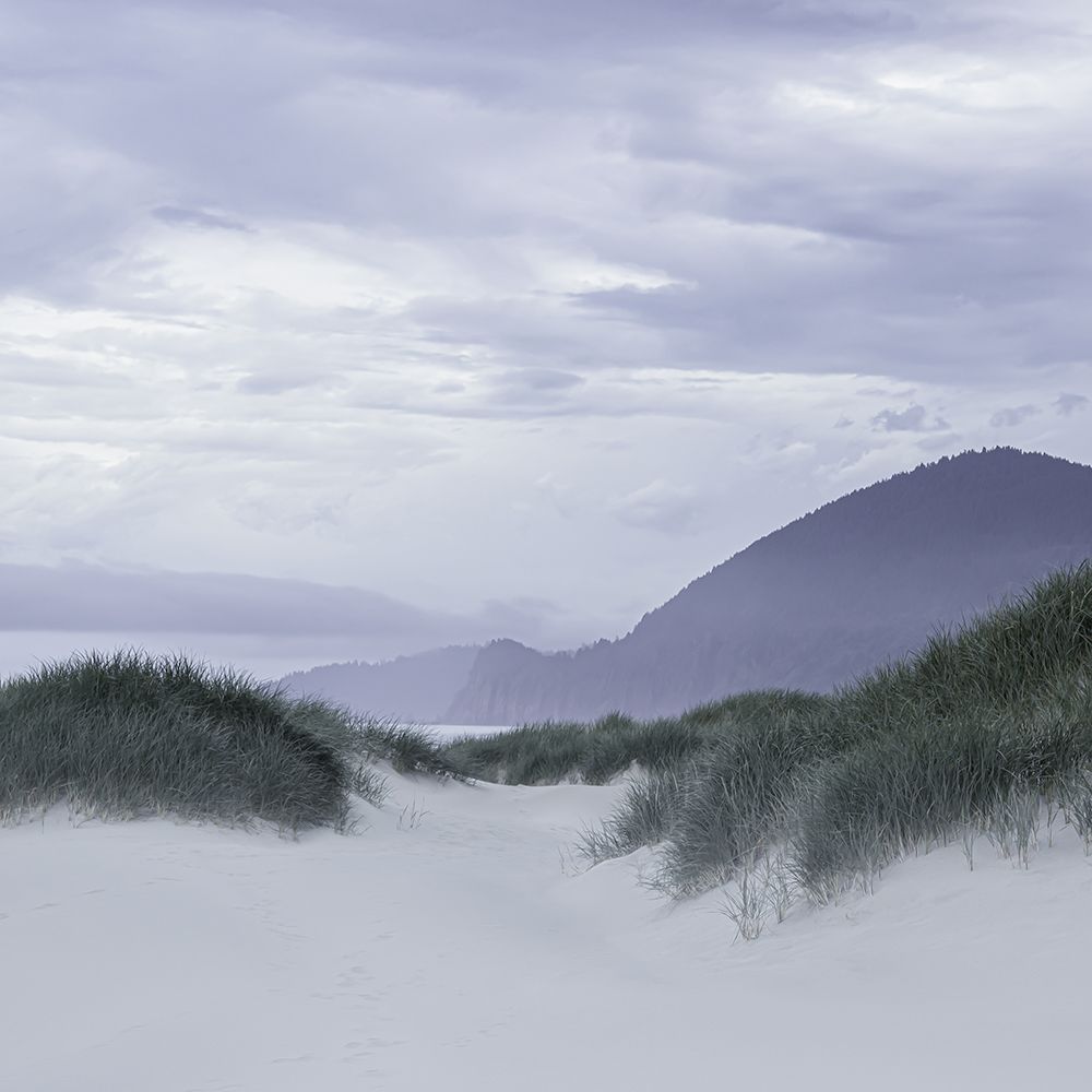 Mountains Beyond the Dunes art print by Don Schwartz for $57.95 CAD