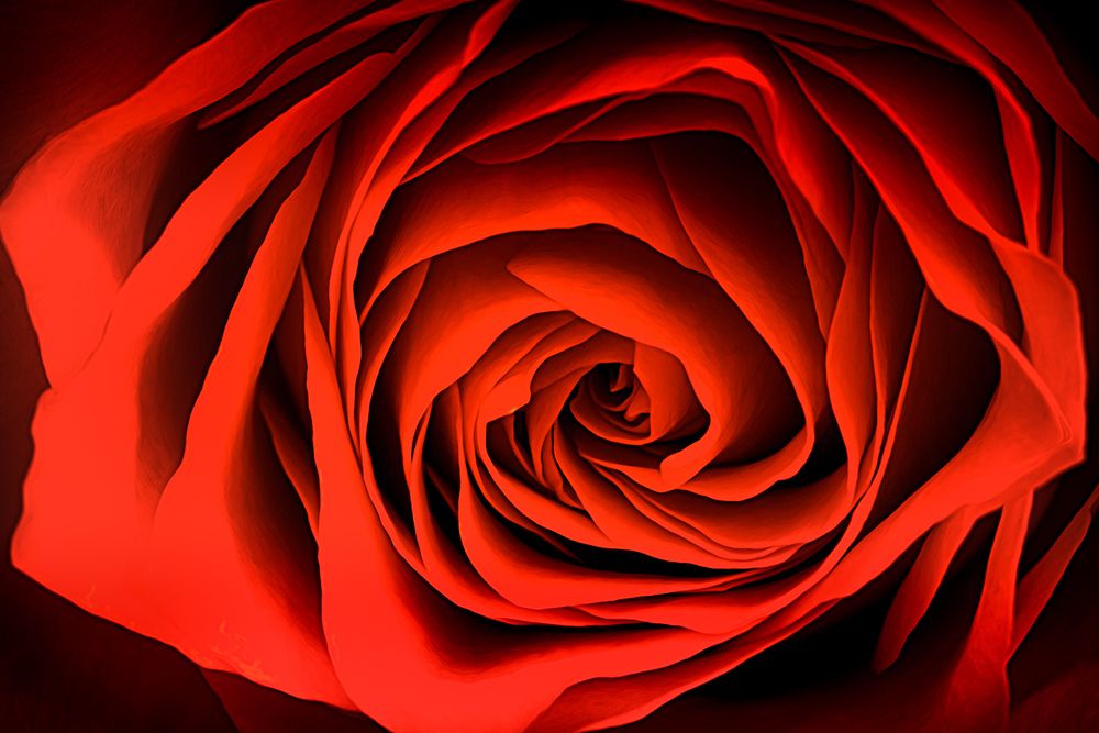 Inner Beauty art print by Don Schwartz for $57.95 CAD
