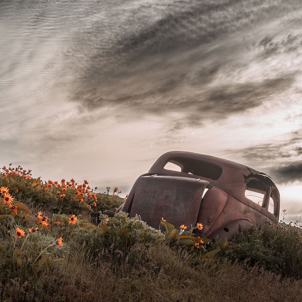 Rusted in the Spring Meadow art print by Don Schwartz for $57.95 CAD