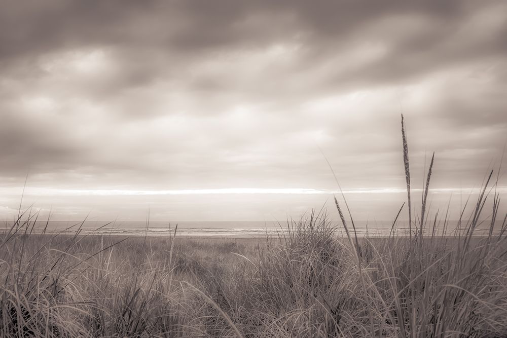 Tall Dune Grasses art print by Don Schwartz for $57.95 CAD