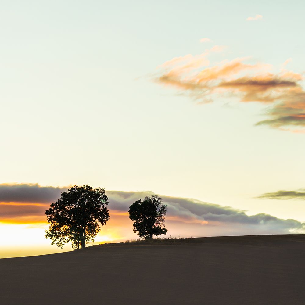 Sunset Over Rolling Hills III art print by Don Schwartz for $57.95 CAD