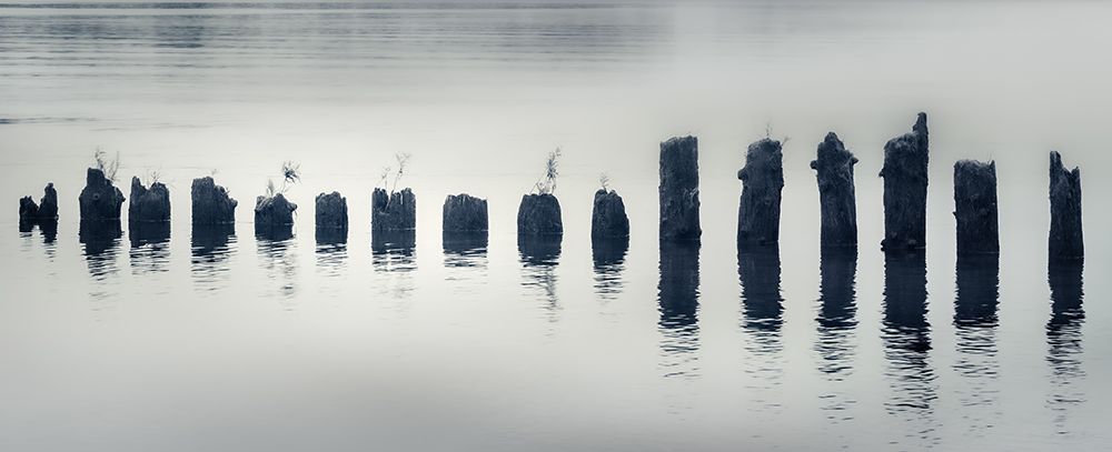 River Pilings at Daybreak art print by Don Schwartz for $57.95 CAD