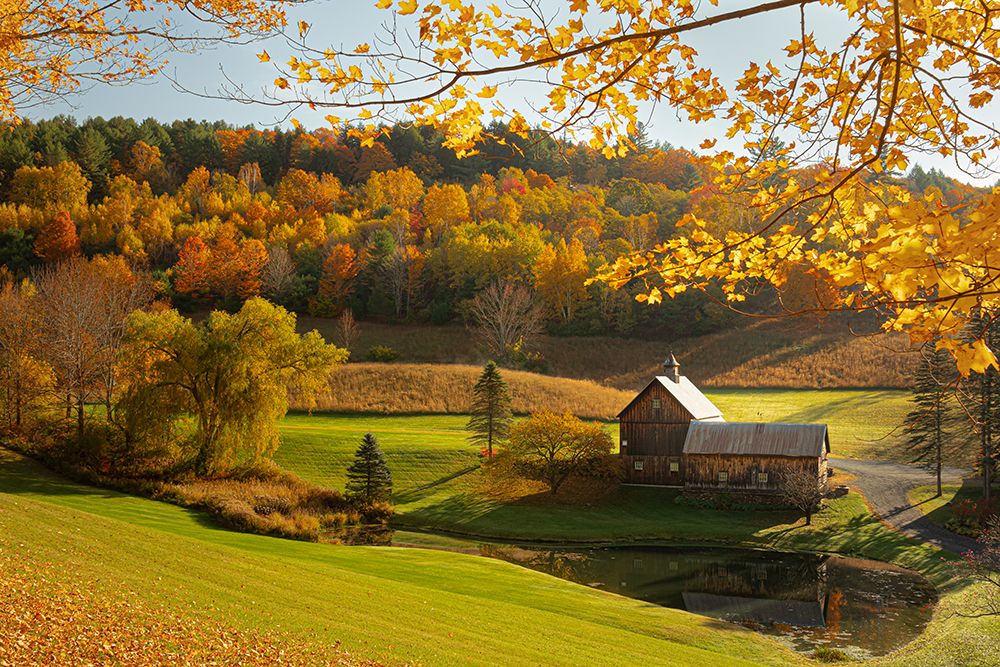 Pastoral Farmstead art print by Don Schwartz for $57.95 CAD