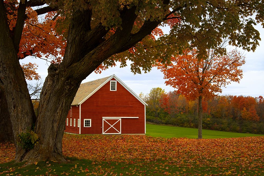 Red Barn Along a Country Road art print by Don Schwartz for $57.95 CAD