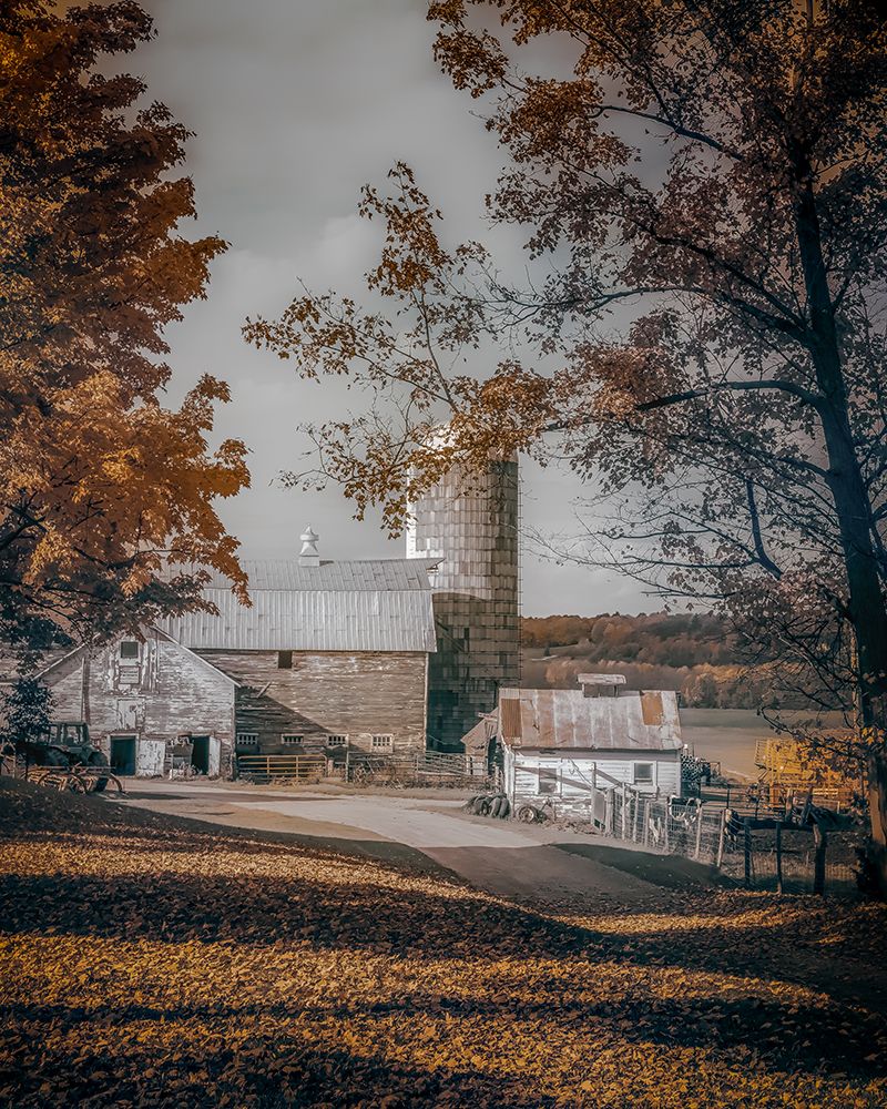 Organic Dairy Farm art print by Don Schwartz for $57.95 CAD