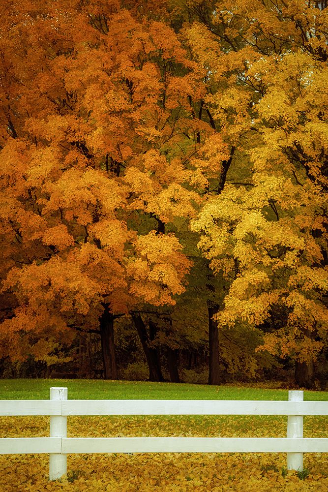 Beyond the Fence art print by Don Schwartz for $57.95 CAD