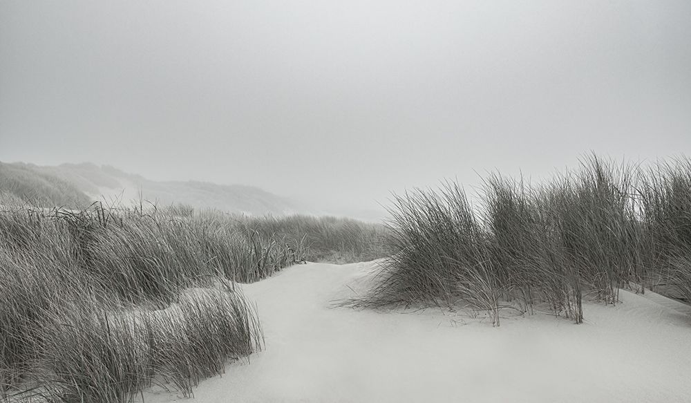 Winding Through the Dunes art print by Don Schwartz for $57.95 CAD