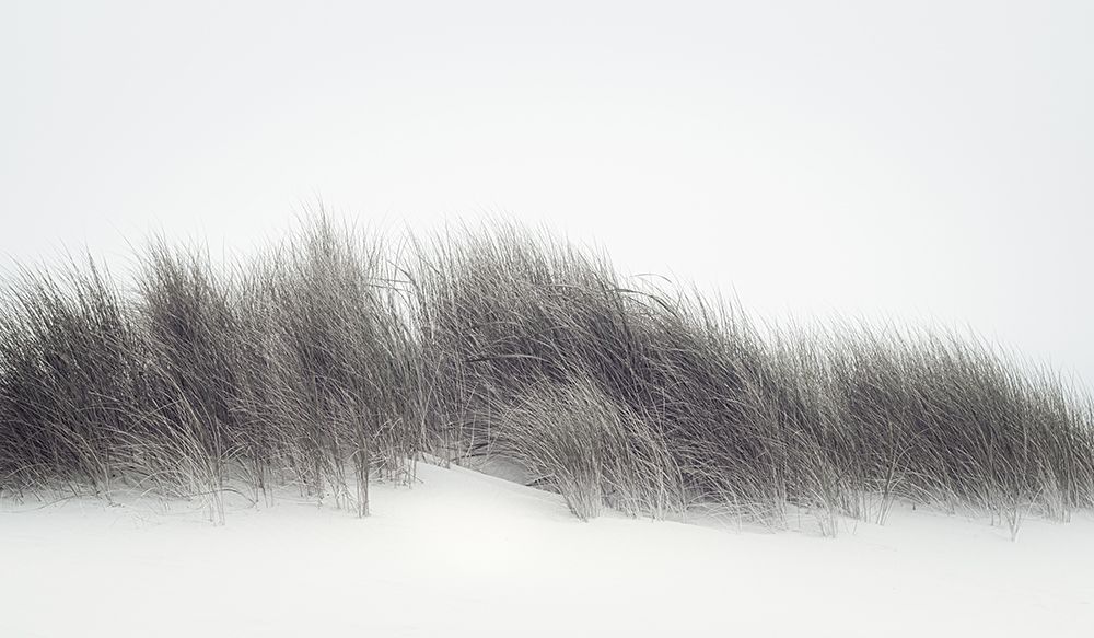 Autumn Dunes art print by Don Schwartz for $57.95 CAD
