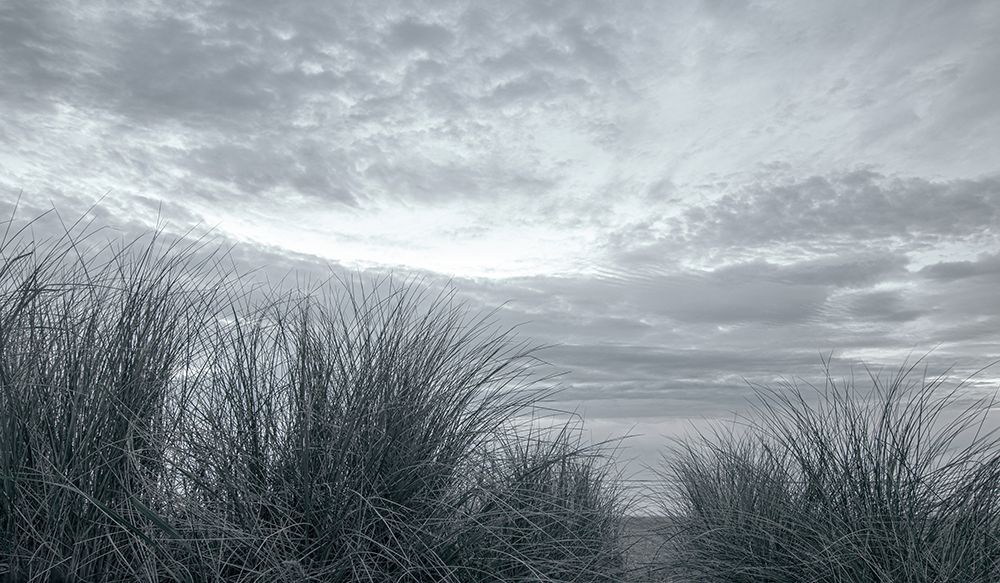 The Dunes at Manzanita art print by Don Schwartz for $57.95 CAD