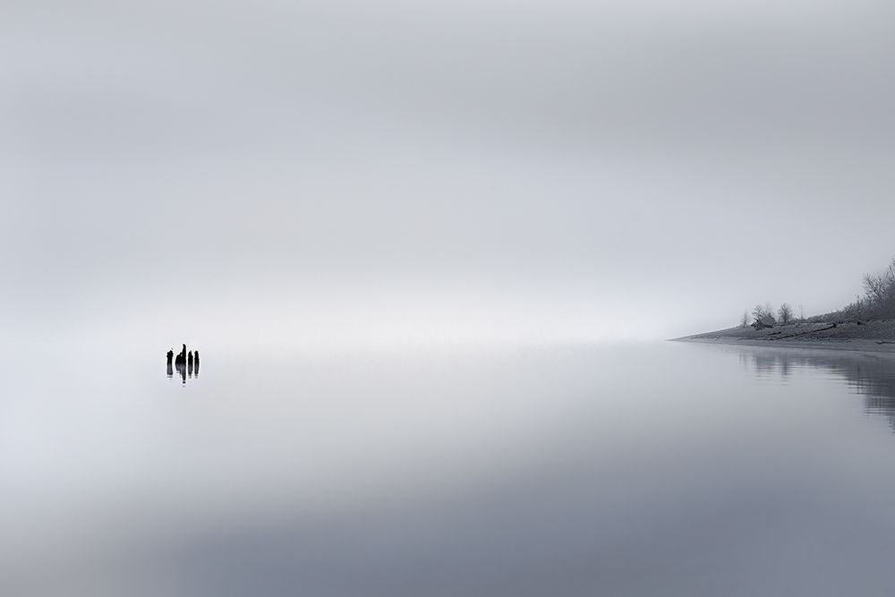 In the Fog art print by Don Schwartz for $57.95 CAD