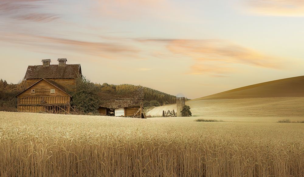 Abandoned in the Field of Wheat I art print by Don Schwartz for $57.95 CAD