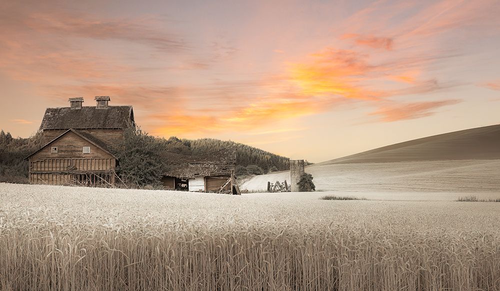 Abandoned in the Field of Wheat II art print by Don Schwartz for $57.95 CAD