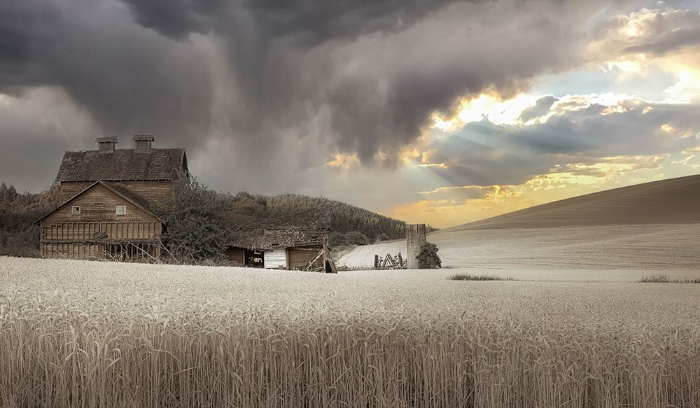 Abandoned in the Field of Wheat III art print by Don Schwartz for $57.95 CAD