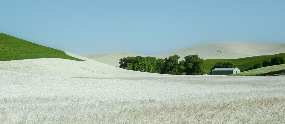 Sweeping Farmland art print by Don Schwartz for $57.95 CAD