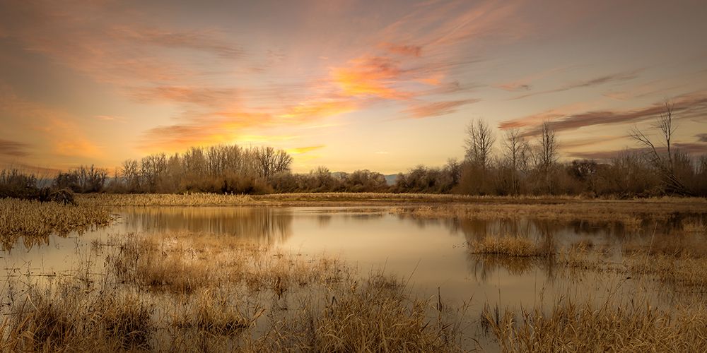 Serene Wetland art print by Don Schwartz for $57.95 CAD