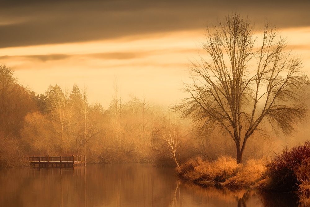 Serenity Along the Lake art print by Don Schwartz for $57.95 CAD