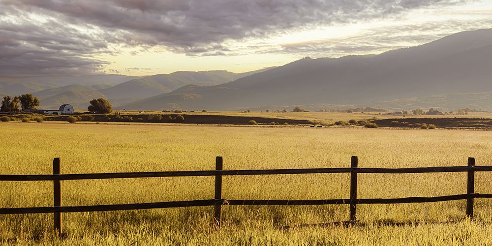 Pastoral Summer Morning art print by Don Schwartz for $57.95 CAD