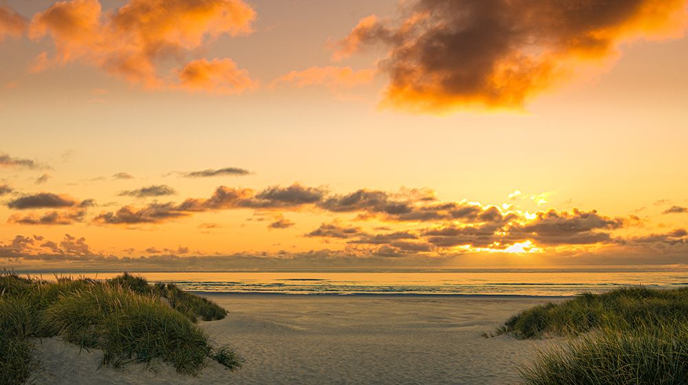 Nehalem Sunset art print by Don Schwartz for $57.95 CAD