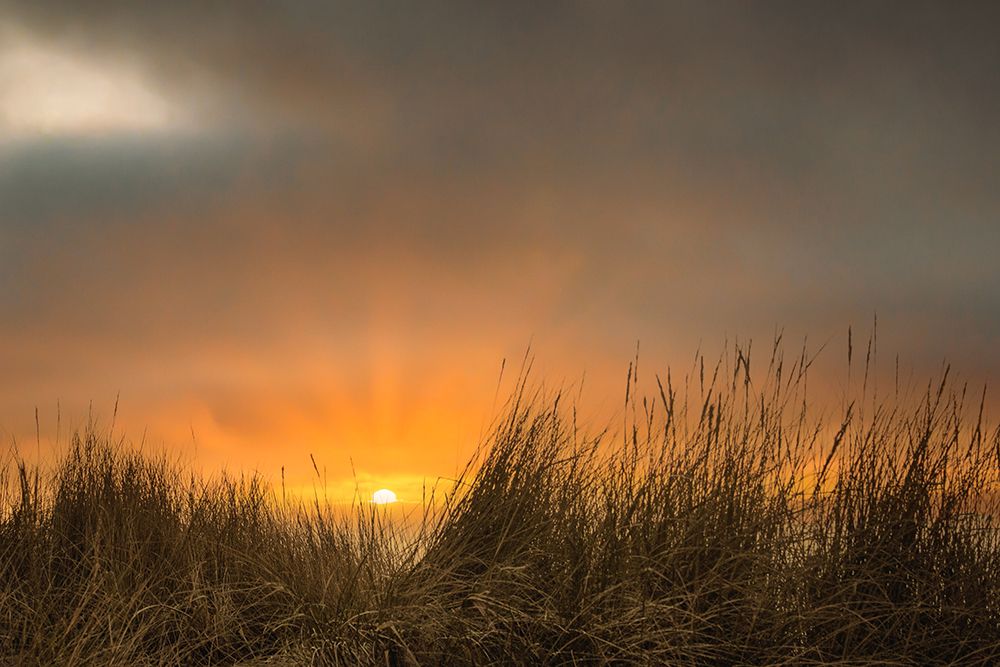 Dunes by the Sea art print by Don Schwartz for $57.95 CAD