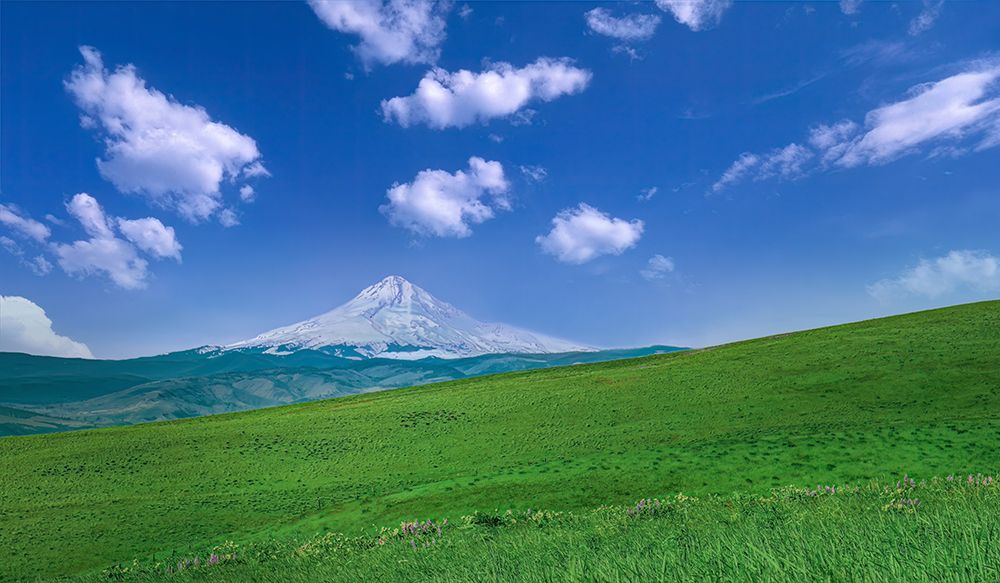 Mt. Hood Beyond the Meadow art print by Don Schwartz for $57.95 CAD