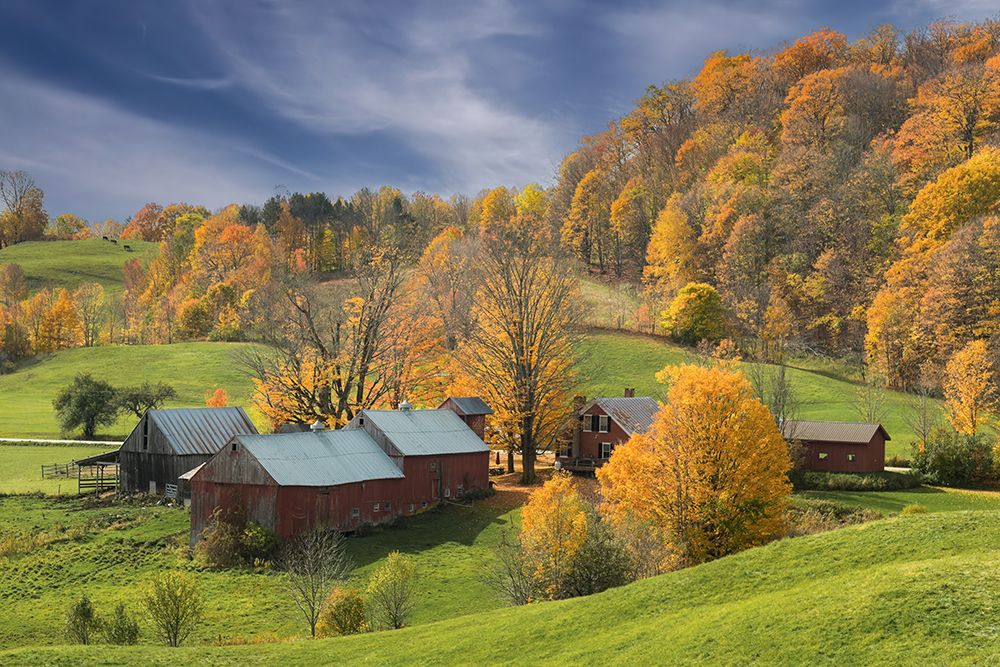 Morning at the Farmstead art print by Don Schwartz for $57.95 CAD