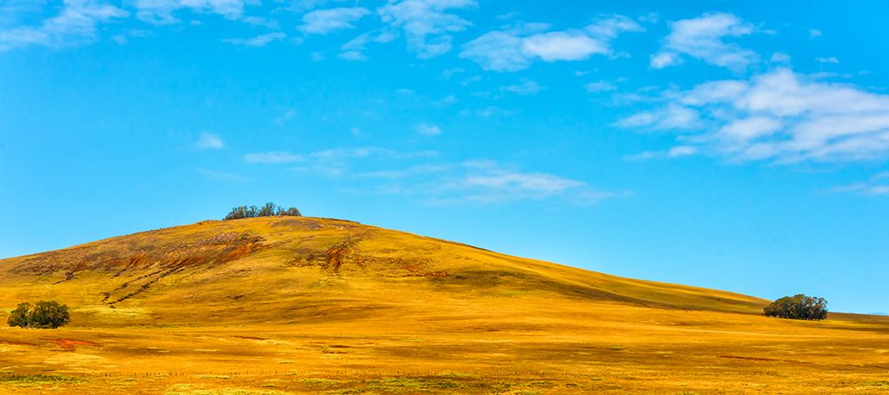 Rolling Hills art print by Richard Silver for $57.95 CAD