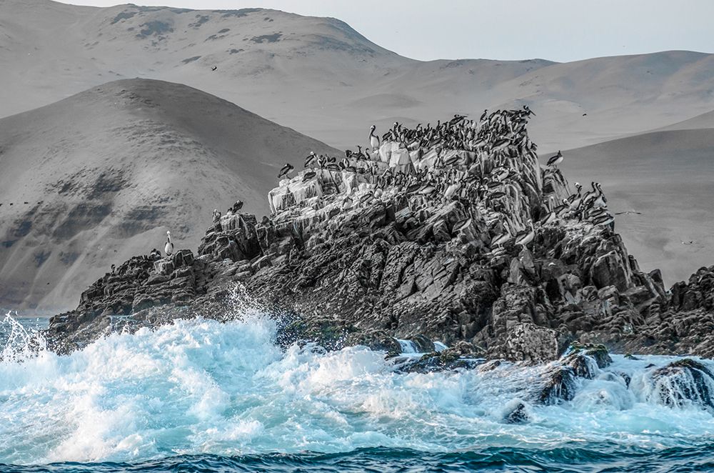 Palomino Island art print by Richard Silver for $57.95 CAD
