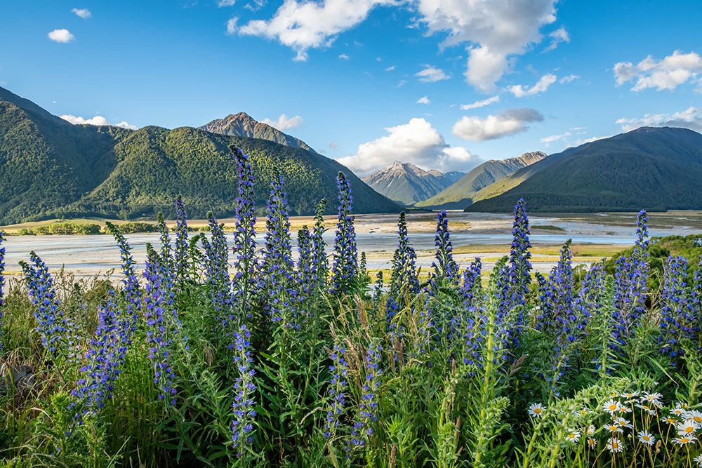 South Island New Zealand art print by Richard Silver for $57.95 CAD