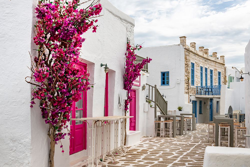 Mykonos Street with Flowers art print by Richard Silver for $57.95 CAD