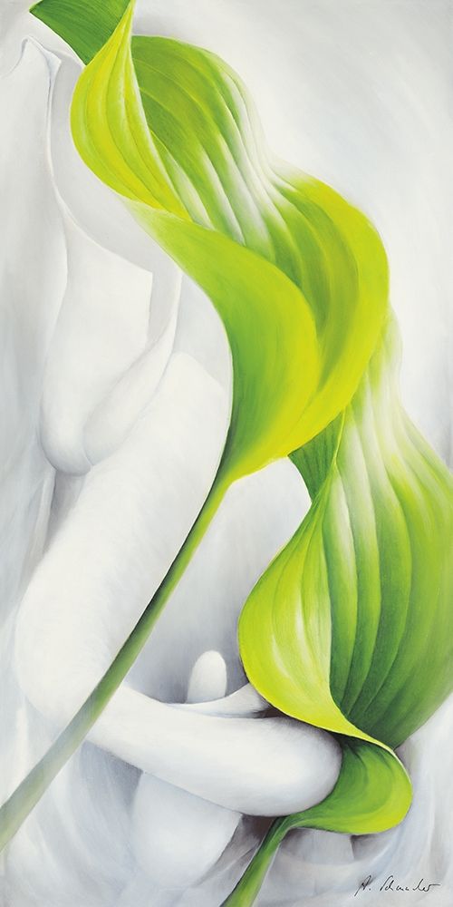 Calla I art print by Annette Schmucker for $57.95 CAD