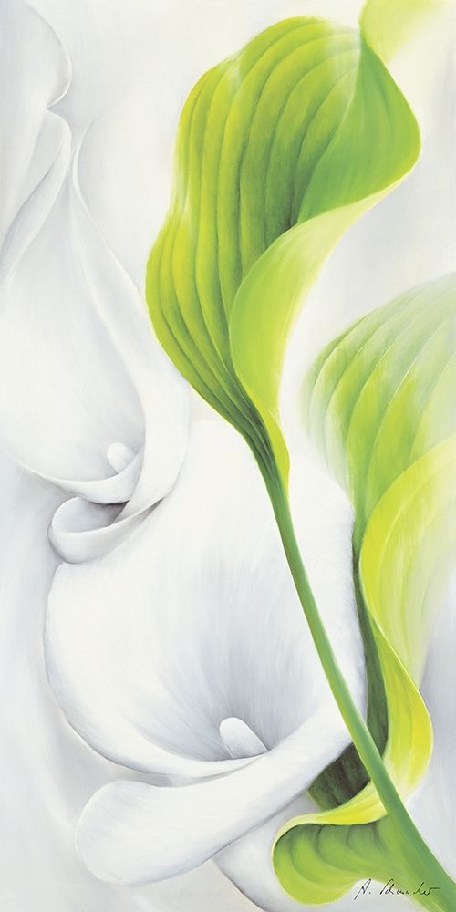 Calla II art print by Annette Schmucker for $57.95 CAD