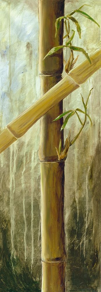 Rainforest II art print by Maritta Haggenmacher for $57.95 CAD