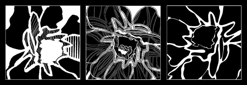 Web flower art print by Talva Design for $57.95 CAD