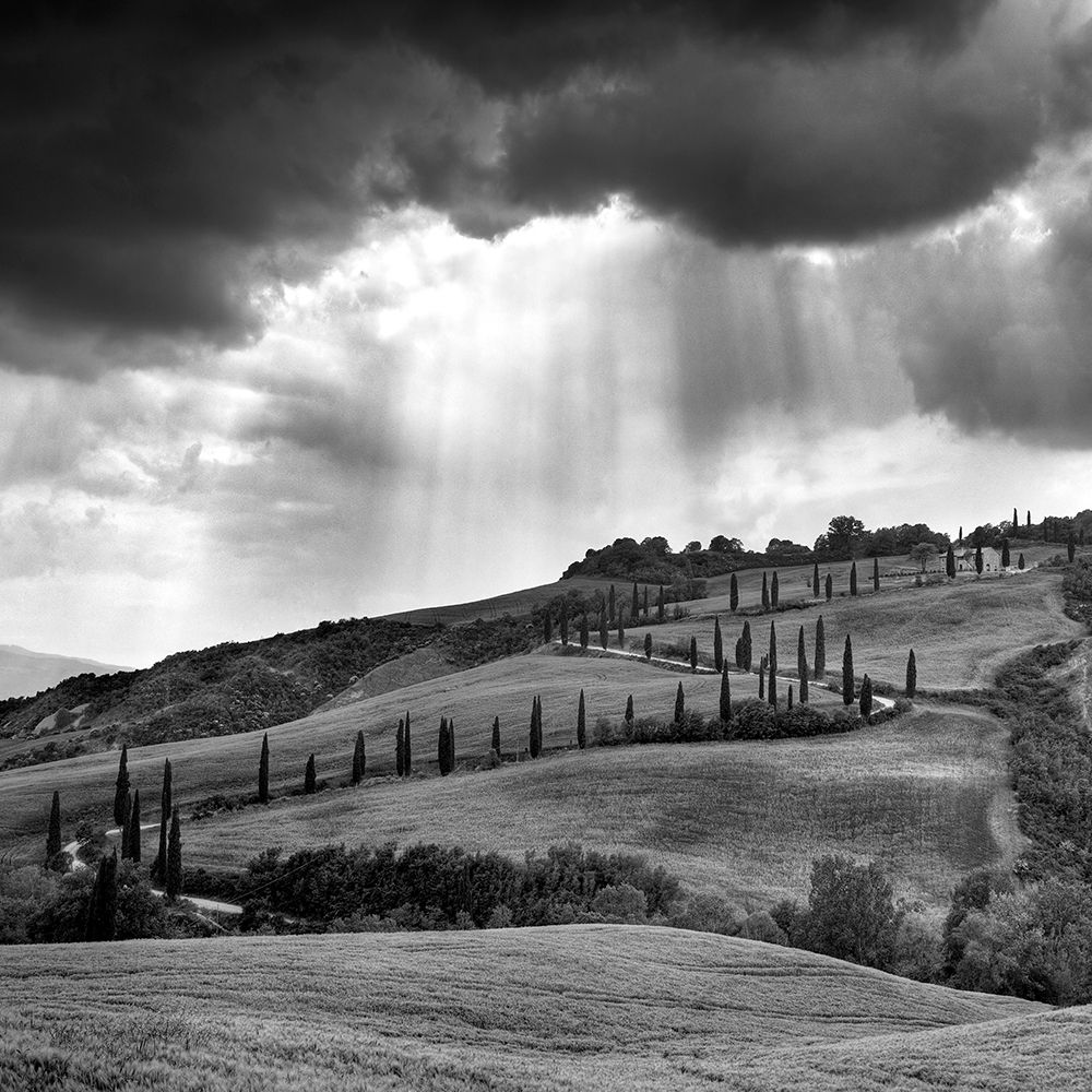 Hills of Tuscany art print by Maciej Duczynski for $57.95 CAD