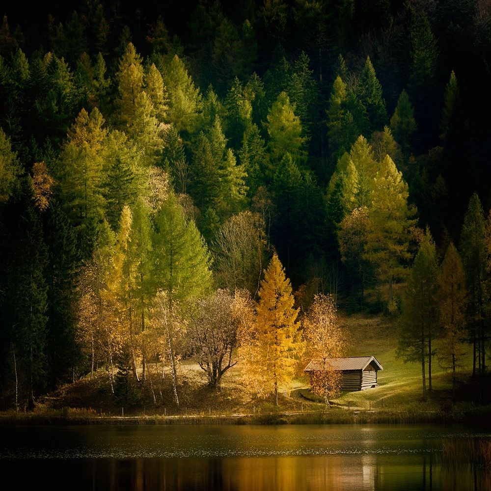 Nature Art Color I art print by Uwe Steger for $57.95 CAD