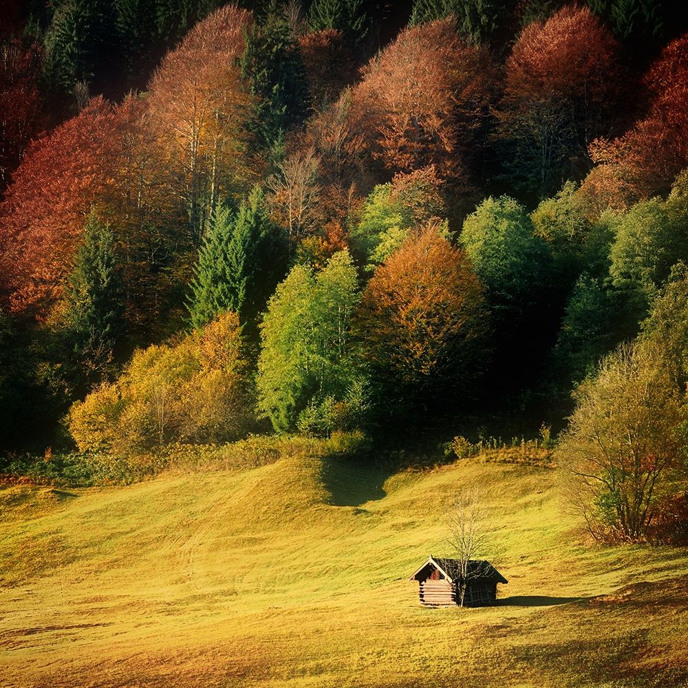 Nature Art Color II art print by Uwe Steger for $57.95 CAD