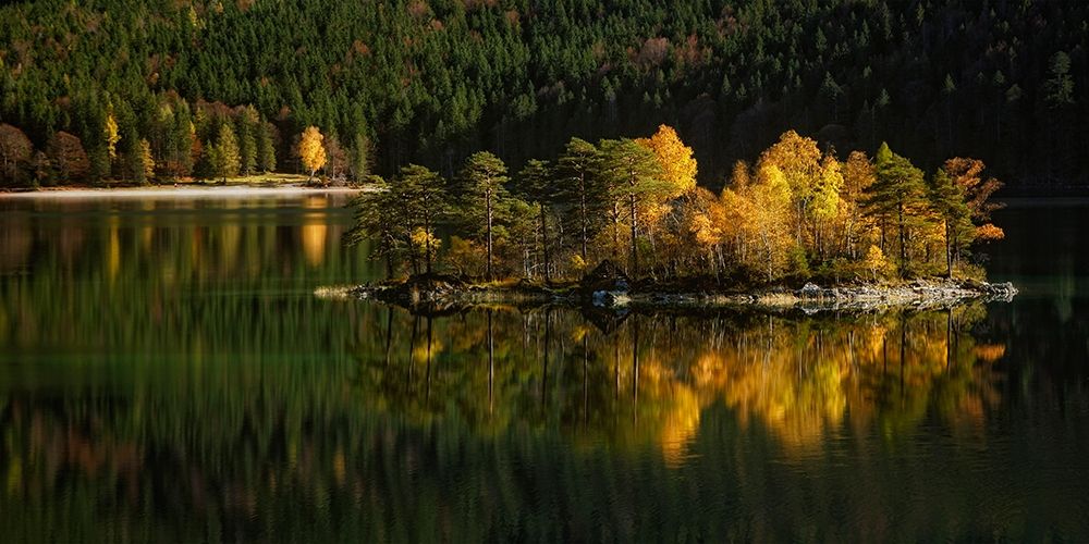 Nature Art Color III art print by Uwe Steger for $57.95 CAD