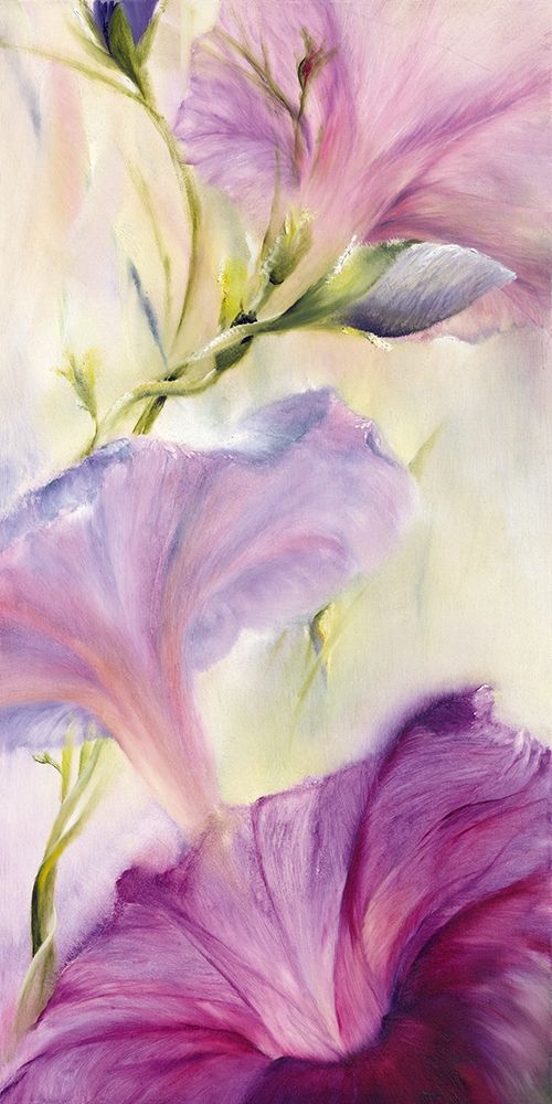 Prunkwinden art print by Annette Schmucker for $57.95 CAD