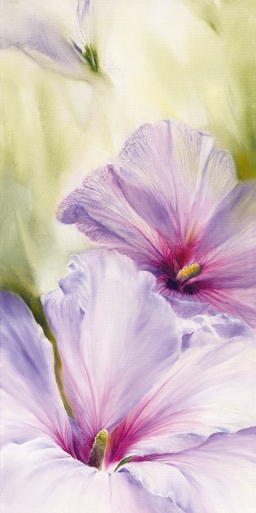 Hibiscus art print by Annette Schmucker for $57.95 CAD