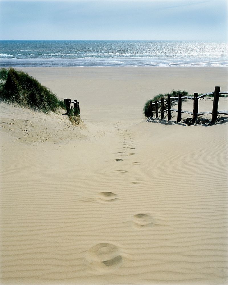 Stepping Out art print by Gill Copeland for $57.95 CAD