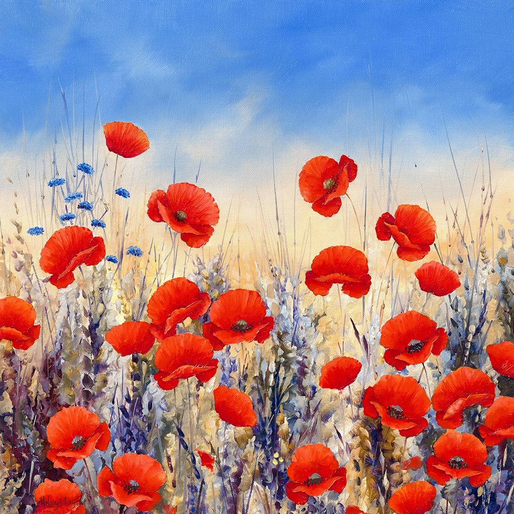 Sunset Poppies art print by Hilary Mayes for $57.95 CAD