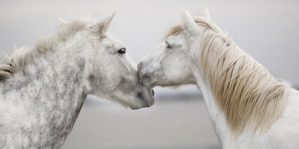 The First Kiss art print by Jorge Llovet for $57.95 CAD