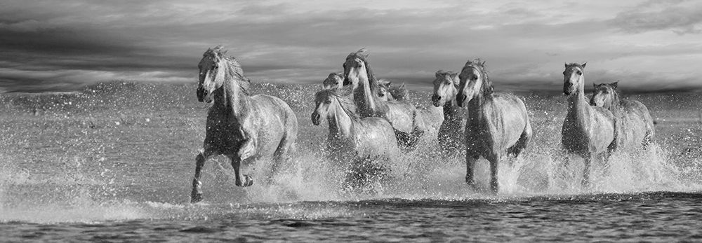 Horses Running at the Beach art print by Jorge Llovet for $57.95 CAD