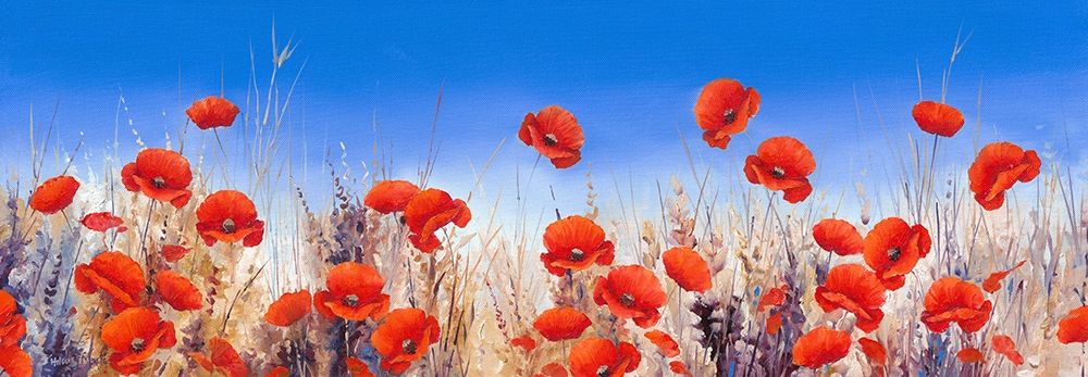 Poppy Landscape art print by Hilary Mayes for $57.95 CAD