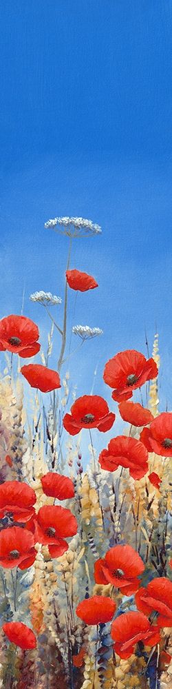 Summer Poppies I art print by Hilary Mayes for $57.95 CAD